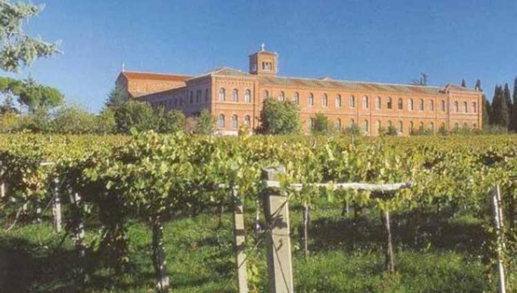 A Casa Di Marco Guesthouse - Apt Di Ciampino E Stazione Per Roma Marino Ngoại thất bức ảnh